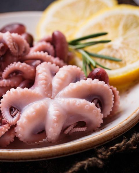Polpo bollito